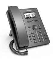 Flying Voice P10 IP phone